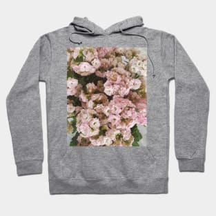 Pink Kalanchoe Plant Hoodie